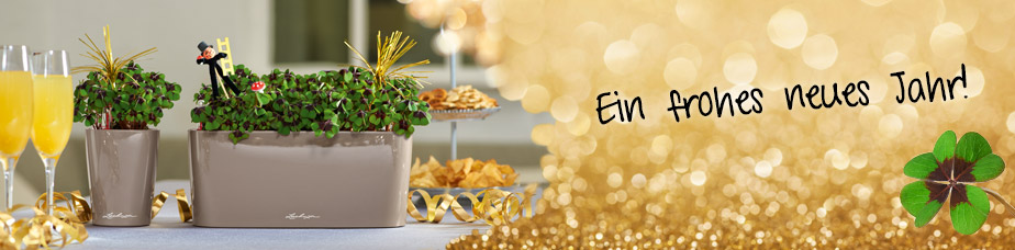 LECHUZA Pflanzgefäße mit ErdBewässerung Österreich